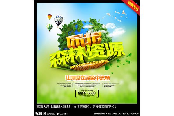 森林资源保护