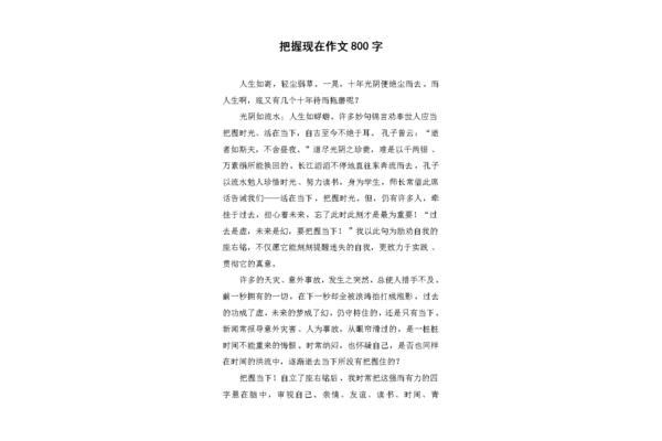把握当下作文