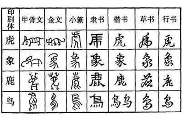鸟字的演变过程