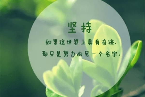 人的一生感悟