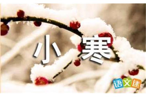 关于大寒的谚语