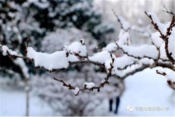 赞美雪花的诗句