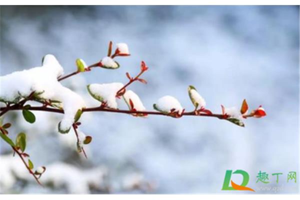 8月是什么季节