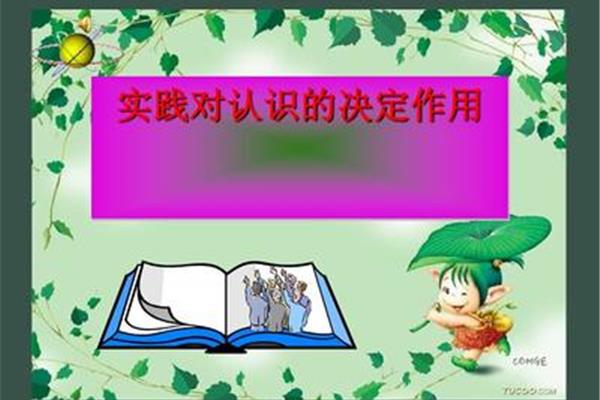 实践的作用