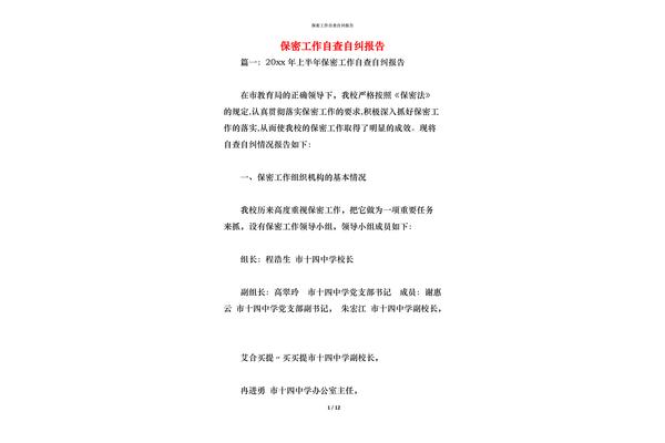 保密自查报告
