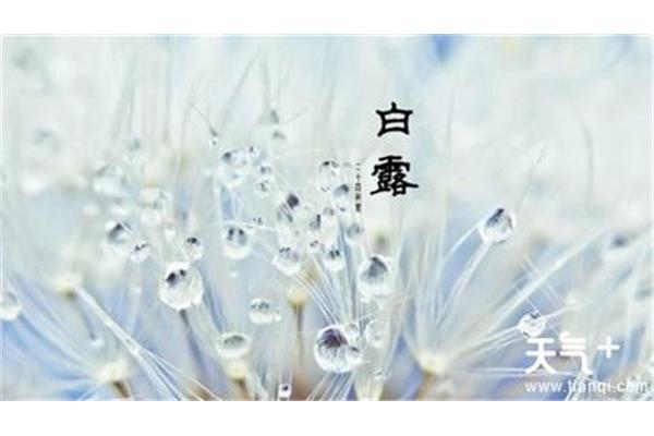 8月是什么季节