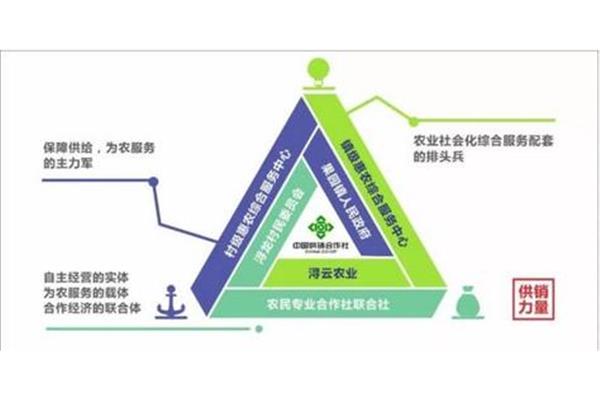 社会组织包括哪些