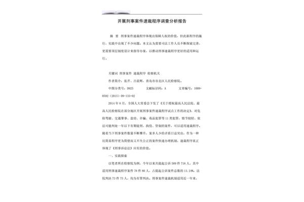 案件分析报告