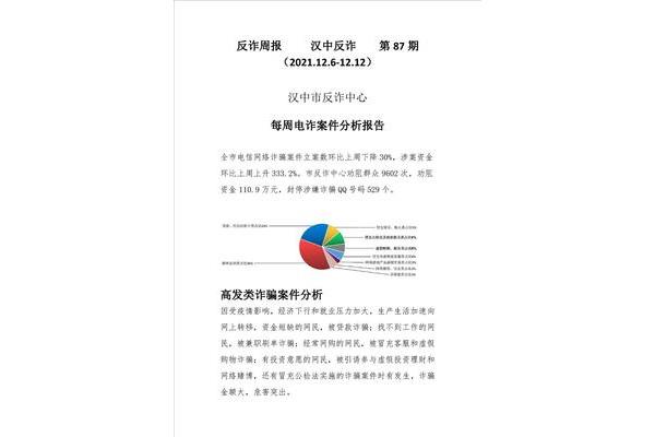 案件分析报告