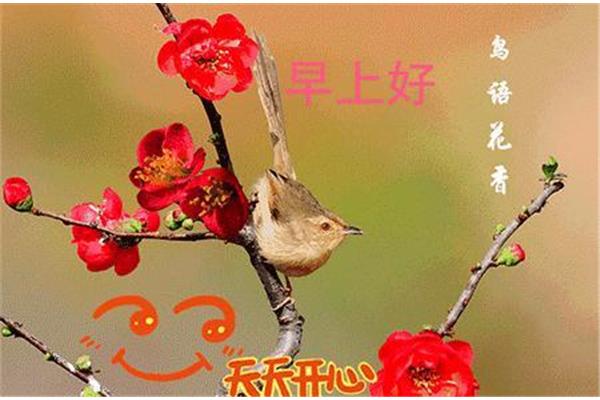 美好祝福语