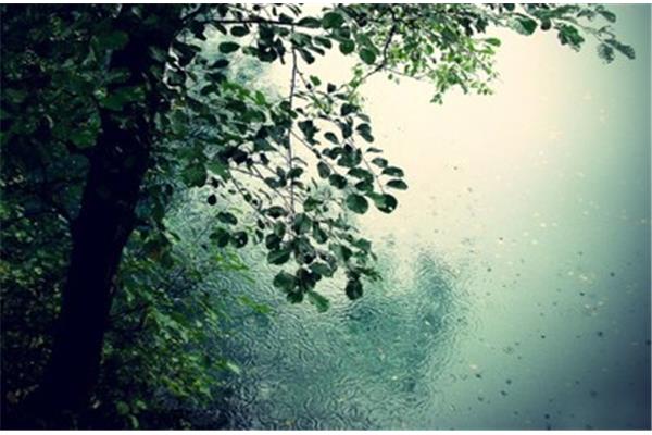 雨夜听雨唯美句子