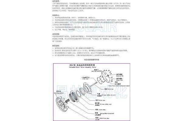 荆棘鸟学园论坛