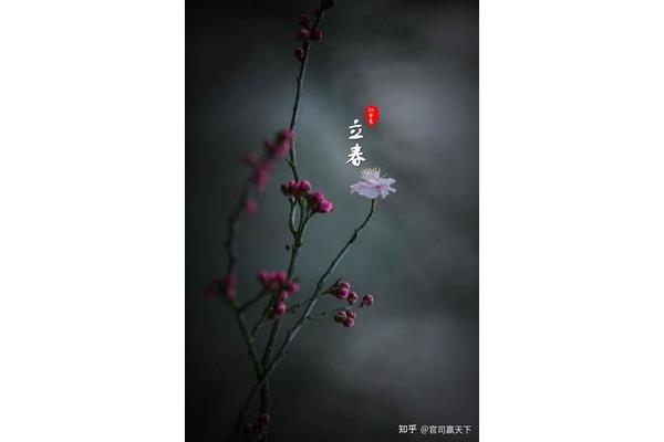 立春的谚语