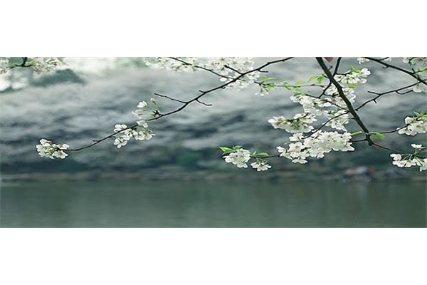 暮春是什么意思