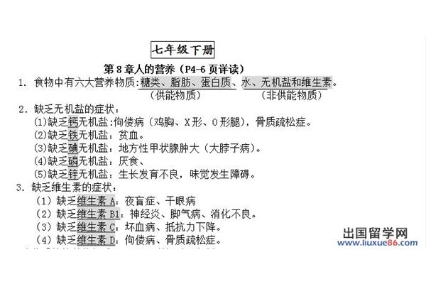 中考复习资料