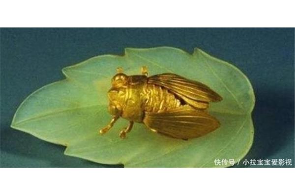 蝉的寓意和象征