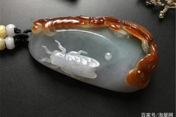 蝉的寓意和象征