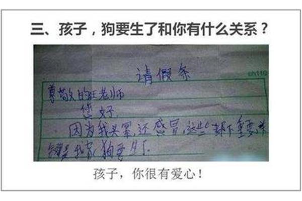 请假条理由