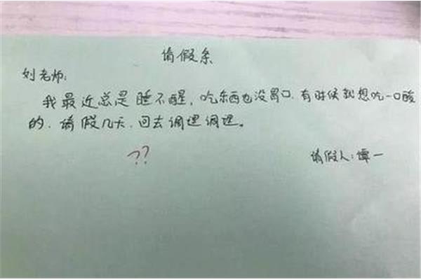 请假条理由