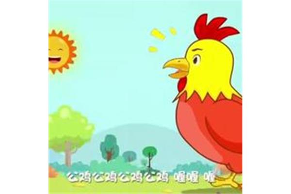 儿歌小鸡小鸡