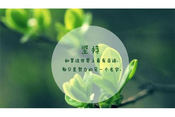 努力正能量的句子