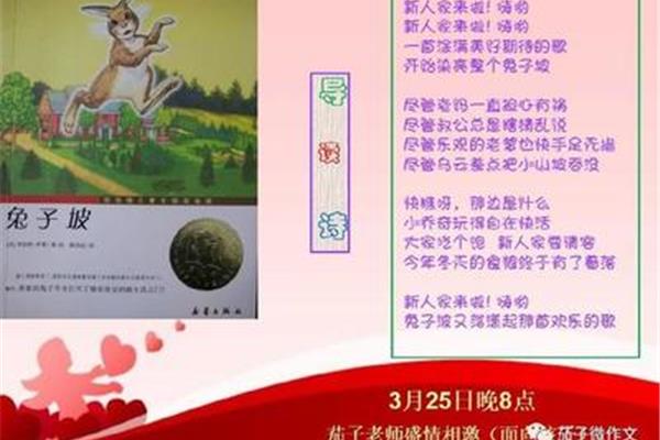 兔子坡思维导图