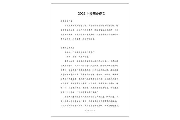 满分中考作文