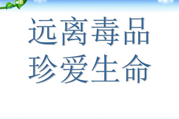 禁毒教育主题班会