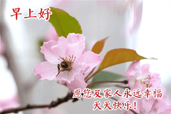 早上好祝福语大全