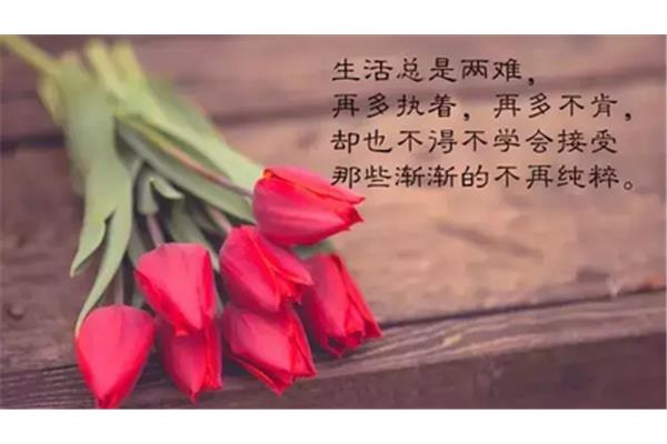 生活的说说