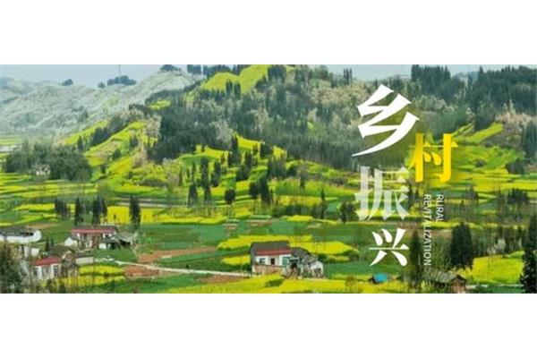 乡村振兴产业