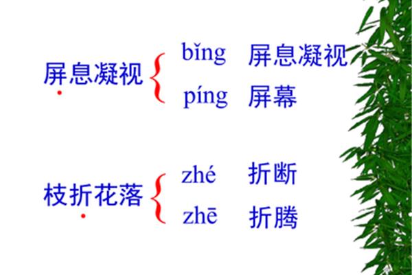 枝折花落拼音