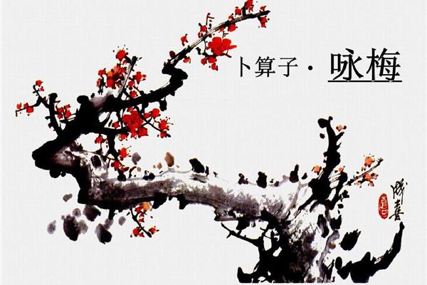 梅花的诗词