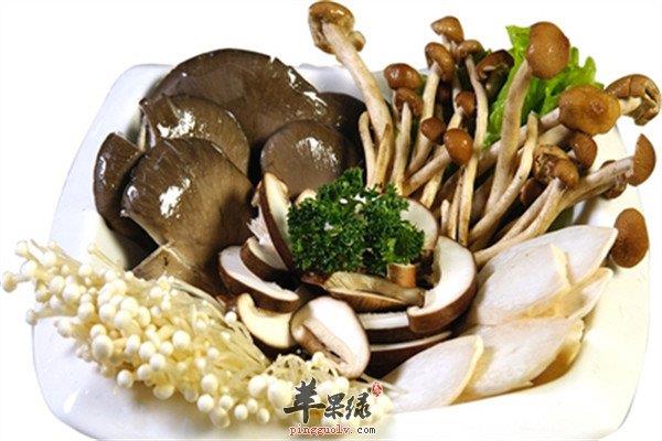 菌藻类食物有哪些