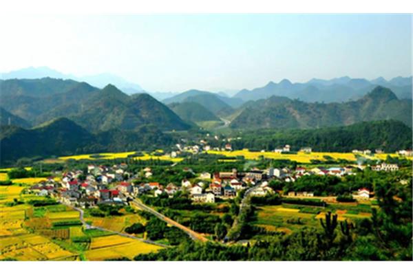 乡村振兴产业