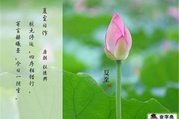 形容花很美的成语