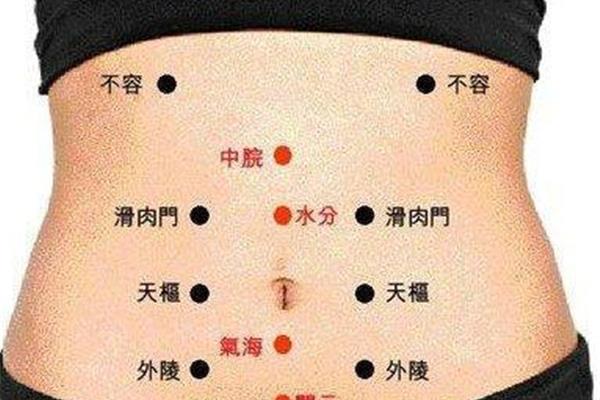 肚子上的穴位