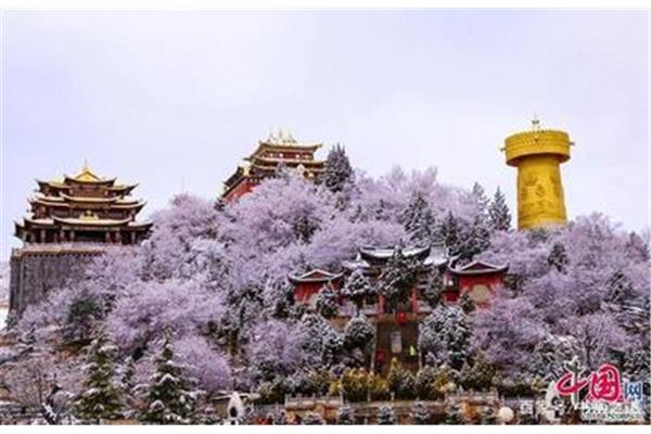 花落锦官城