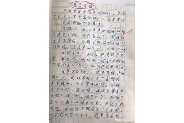 爱臭美的妈妈作文