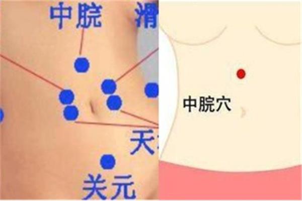 肚子上的穴位