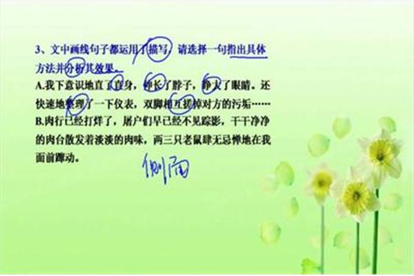 属于我的小幸福