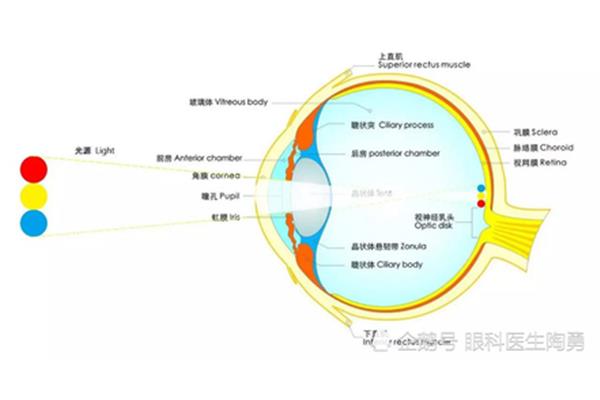 产生房水的结构