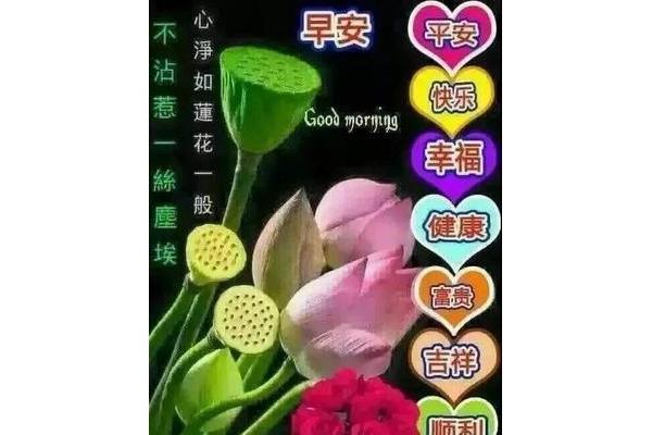 健康祝福语大全