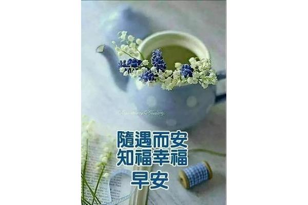 问候早安的句子