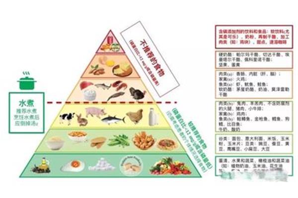 什么食物含磷高