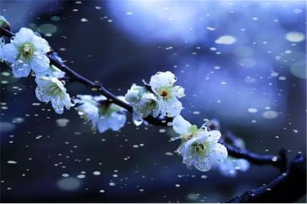 形容飘雪的诗句