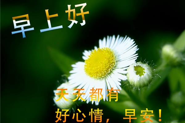 问候早安的句子