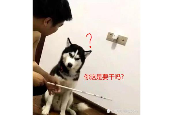 你咬我一下