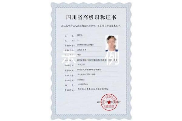 高级专业技术职称