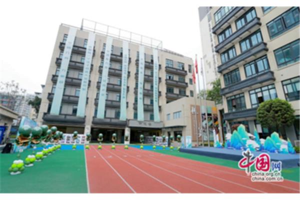 金牛区小学